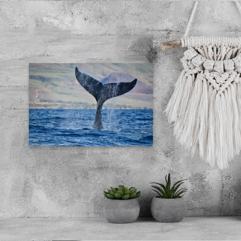 Contemporary Art Contemporary Whale Nature Ocean Wall Art by Carolina Garcia-Paris - Wrapped Canvas Print