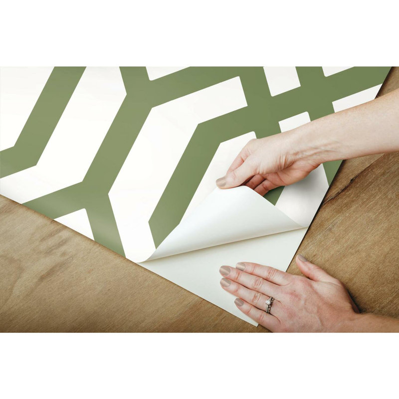 Rouleau de papier peint à motif de treillis Catone, Vert/blanc