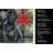 Standard Black Poodle Christmas PoinsettIas Kitchen Towel-2080583724