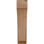 Attelle impériale du genou-31229270-29309856-31229277