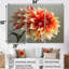 Ensemble de salon Orion - Dahlia-108457387-108457392