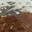 Opium One-of-a-Kind 6' X 9' Area Rug