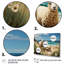 Bramford Coastal Port Coastal Companions - Imprimé-688962454-688962453