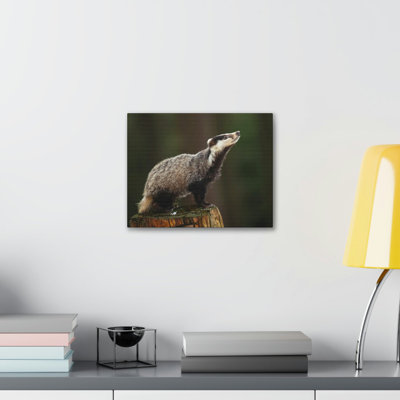 Lookin Up Badger Print Animal Wall Art