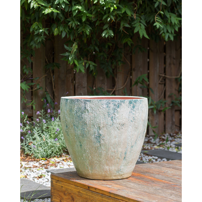 NERTERA Handmade Pot Planter