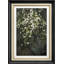 «Flower Blossom Blossom Tree Green Wild Flower Nature», reproduction d'art encadrée-91356227-91356223