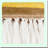 CozyBlock Cotton Blend Throw Blanket with Fringe - Multicolor Comfort