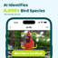 Birdfy Feeder 2 Duo AI Dual-Camera Smart Bird Feeder with Solar Power, AI Recognition, and Weatherproof Garden Design