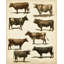 Art sur toile tendue August Grove-2062661973