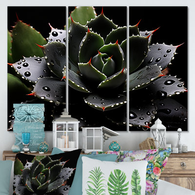 Black Blooming Cactus Photography - Floral Cactus Wall Art