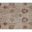 Hand Knotted Area Rug in Ivory