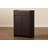 Larissa 8 Pair Shoe Storage Cabinet