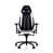 Black/White is out of stock selected
