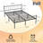 Metal Bed