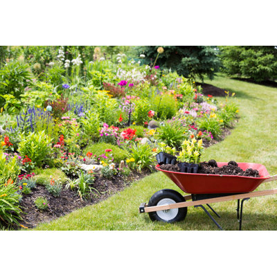 Transplanting New Spring Plants - Photographie sur toile tendue