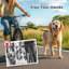 Foldable Pet Stroller Accessory