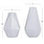 Ensemble de vases de table 2 pièces-61474005