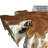 Solid Wood Coffee Table-1730997624
