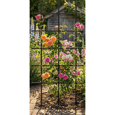  Metal Rose Trellis W90 x H180cm
