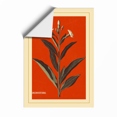 Single Stem In Bloom Botanical - Print