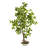 48'' Faux Bonsai Tree in Stone Pot