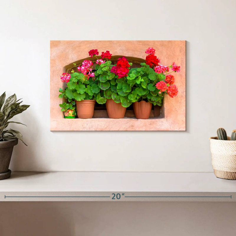 Harnek Potted Geraniums, 8" H x 12" W