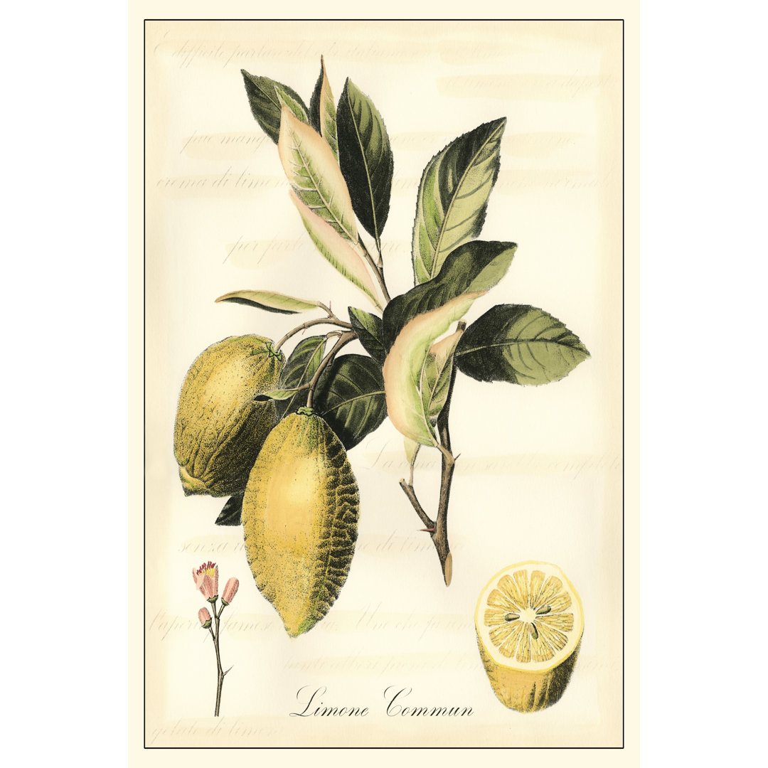 Tuscan Fruits II by Vision Studio - Unframed Painting on Canvas