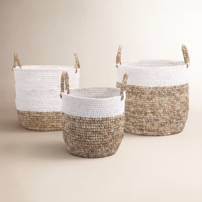Birch Lane™ Lucian Box