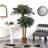 Double Potted Sago Palm Silk Tree