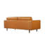 Leathy Sofa