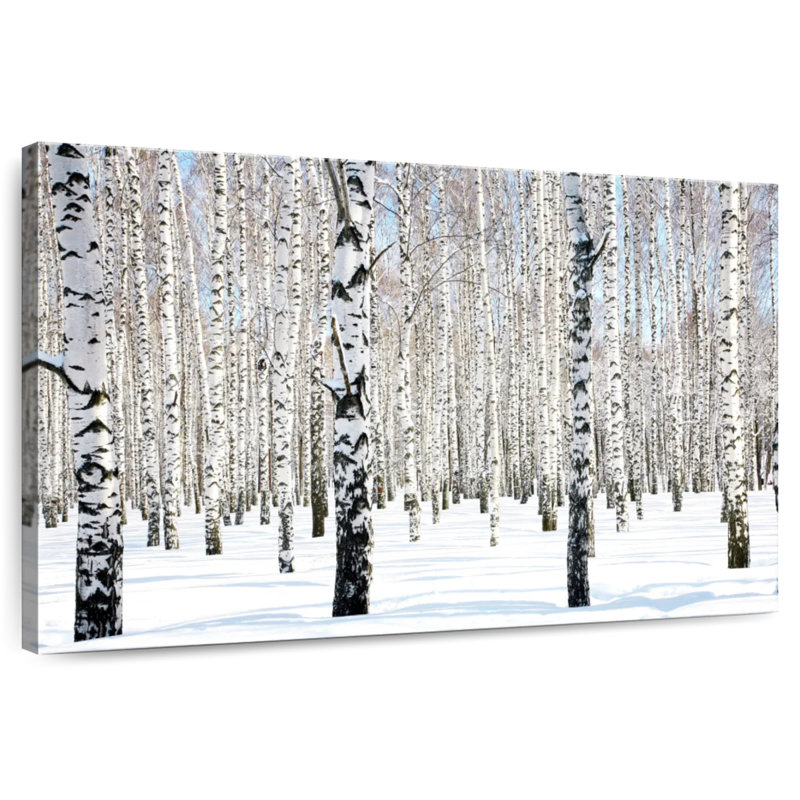 Alvord Birch Grove blanc neige, H 20 po x l 30 po