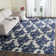 Conlin Performance Ikat Rug