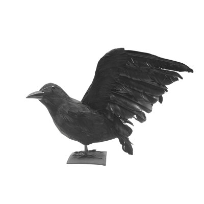 Halloween Black Bird Lifesize Hunting Crow Decoy Raven XL Accessory Movie Prop