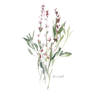 " Herb Garden Sketches V "