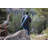 PTZ Camp Chair with Carrying Bag-30725973