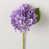 Purple is out of stock
