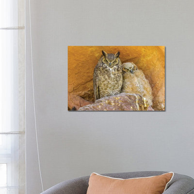 USA, Colorado, Red Rocks State Park. Great Horned Owl And Owlet At Nest In Rocks. by Jaynes Gallery - Wrapped Canvas Gallery-Wrapped Canvas Giclée