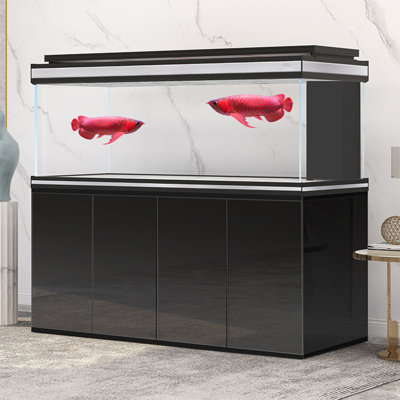 Grand aquarium rectangulaire noir minimaliste