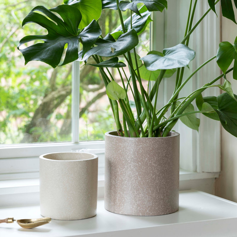 Valetta Three Indoor Cement Plant Pots, Caramel