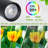 Hydiah 3.94'' LED Column Floor Lamp