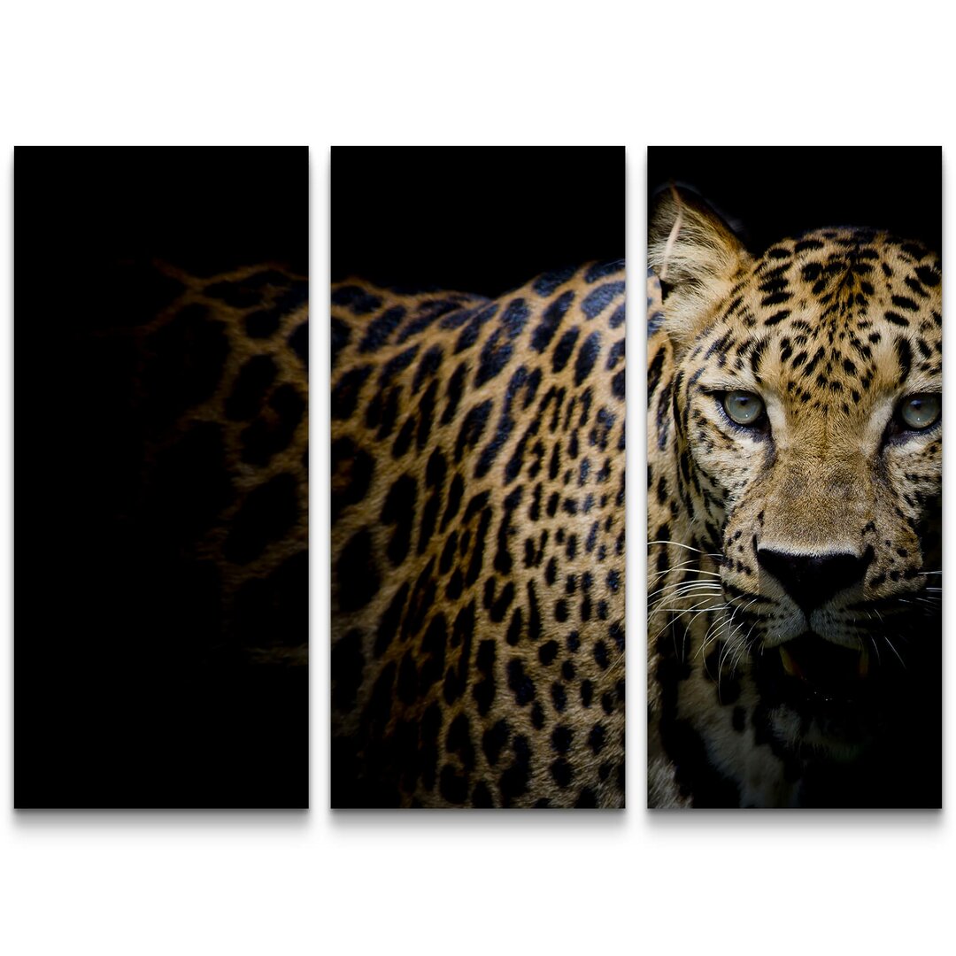 3-tlg. Leinwandbilder-Set Portrait Leopard