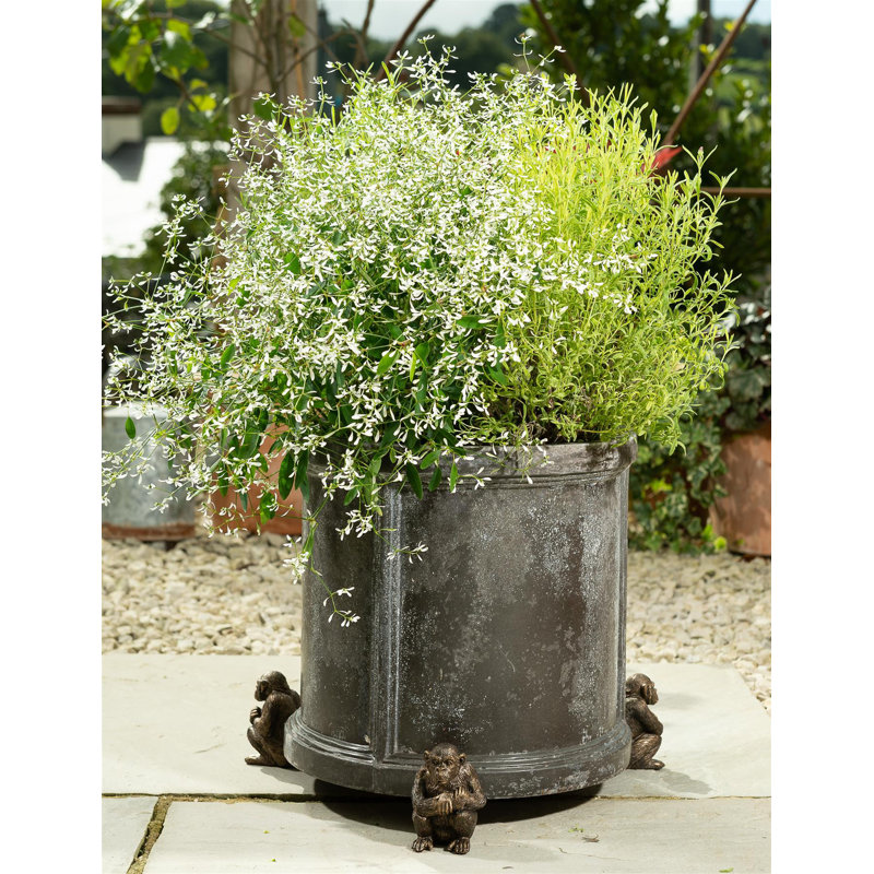 Goodfellow Metal Planter Feet