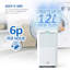 NETTA 12L Compact Dehumidifier