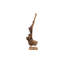 Teak Natural Driftwood Sculpture