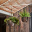 Mayfair Hanging Planter-1576253048-1576253049