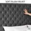 Upholstered Bed-386997714-386997713
