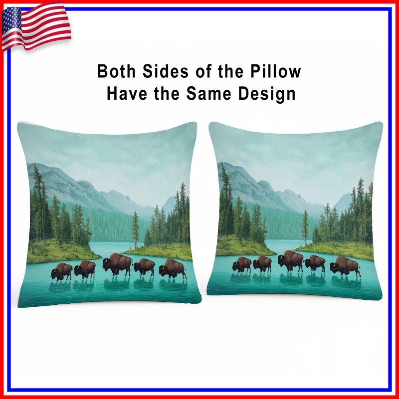 Coussin Bison, animaux, coussins double face, 20 po x 20 po
