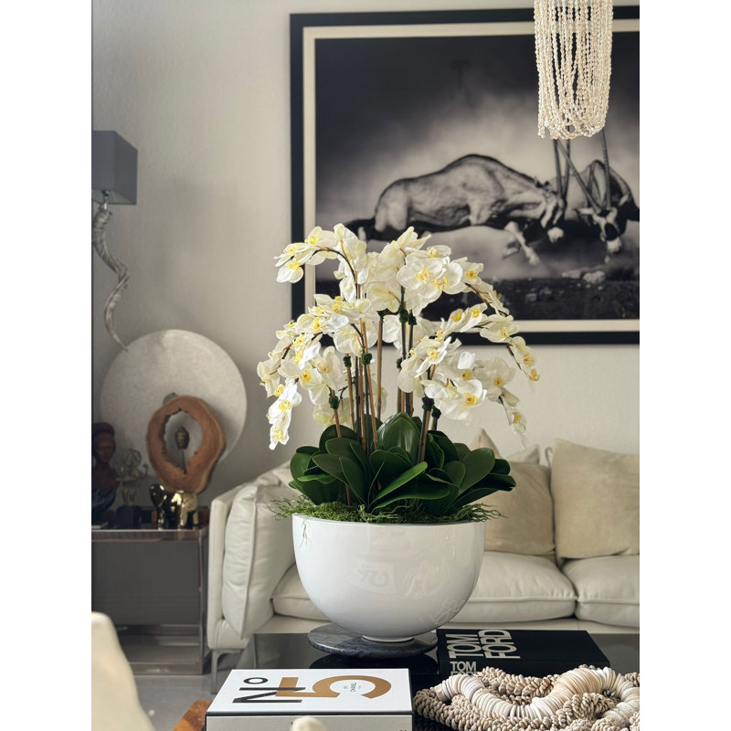 White Orchids In Glossy White Fibreglass Bowl, White