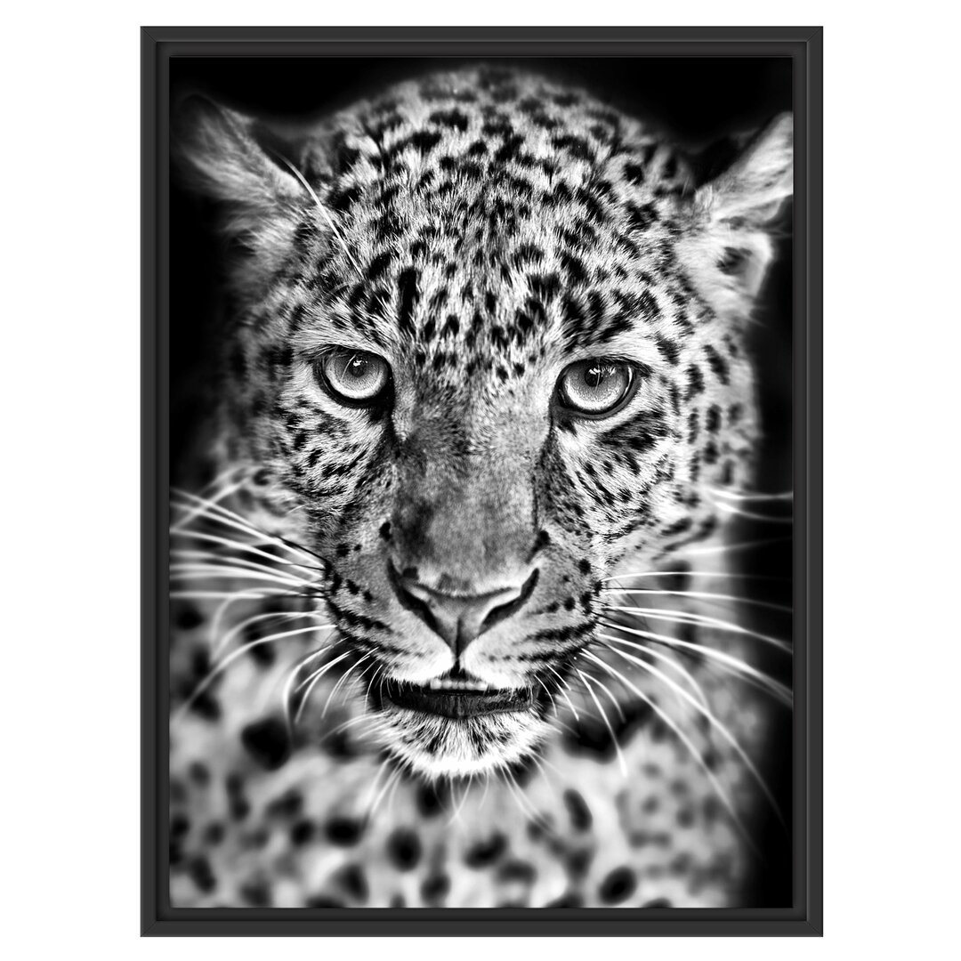 Gerahmtes Wandbild Stolzer Leopard