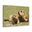 No Frame Print on Canvas-100038911